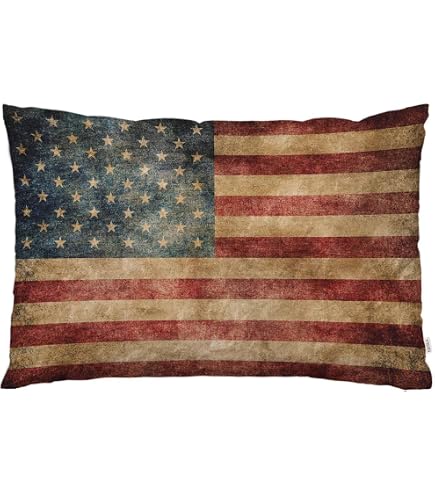 Amazon.com: EKOBLA Throw Pillow Cover Grunge American Flag USA